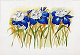 Iris Canvas Paintings - Iris Grandeur